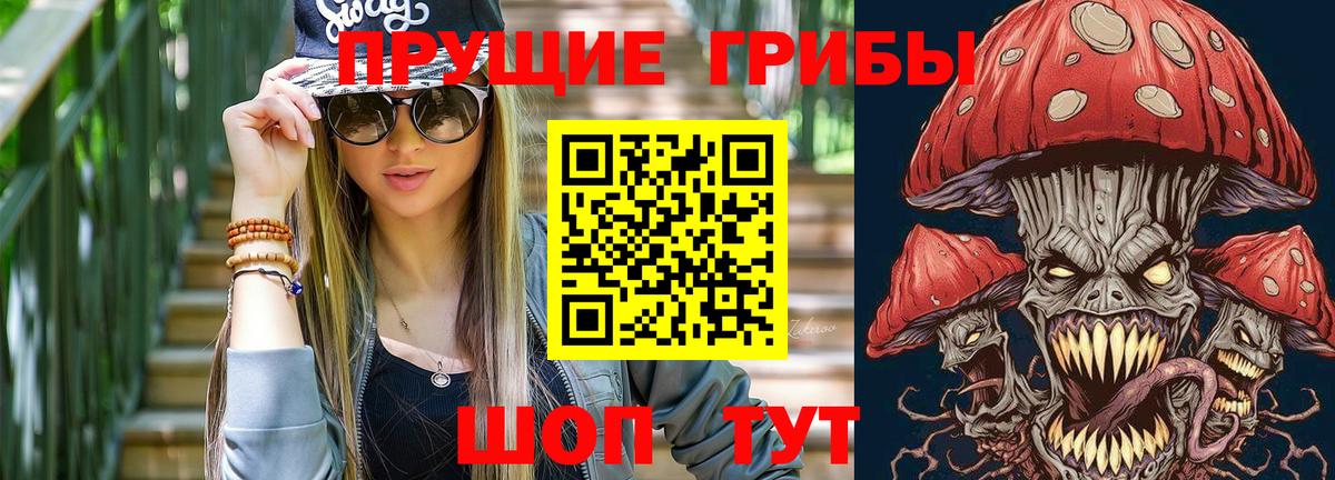Шали  Псилоцибиновые грибы Psilocybine cubensis  Вход с VPN 