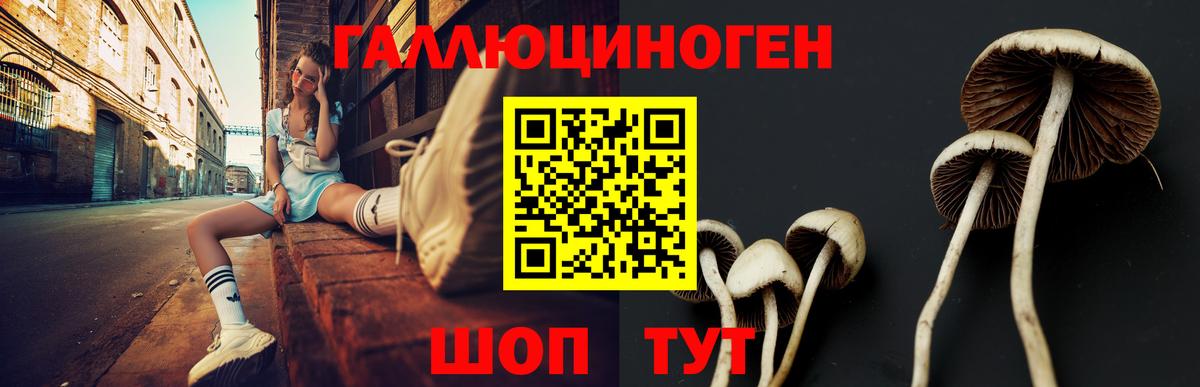 Галлюциногенные грибы Cubensis Шали
